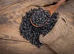 Banyan Fine Foods Pvt Ltd  Gurugram India Best Seller